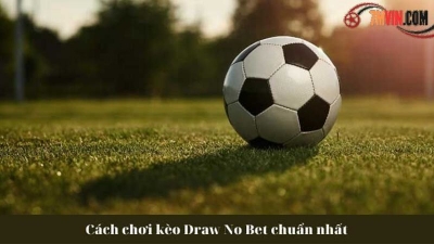 Kèo Draw No Bet - Kèo cược hấp dẫn dành cho cược thủ